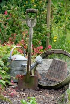 Gardening Tools in a Country Garden