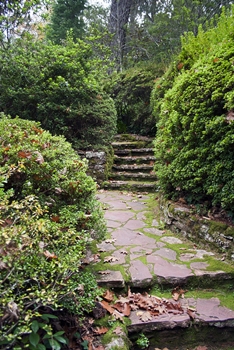 4 Unique Ideas to Add Character to Your Backyard 2 - Garden Path