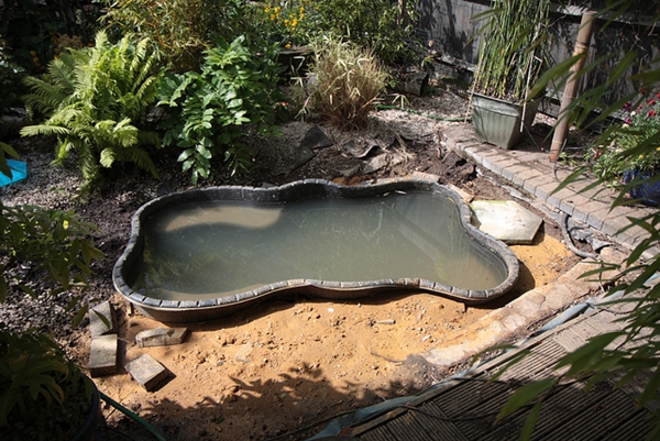 Add Colour and Life to Your Garden - Install a Pond 2