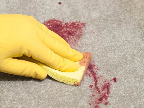 Seven Things that WILL Stain Your Carpet Permanently 4