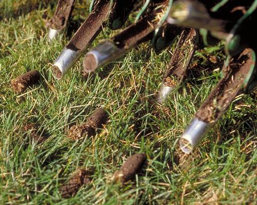 When is the Best Time for Aerating and Lawn Repair 4